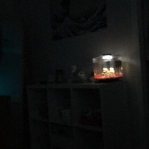 Meet your Posher, Kayle